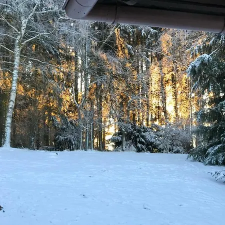 Im Waldviertel *